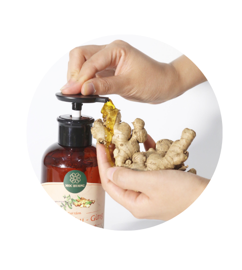 Chiết xuất thảo mộc thủ công Mộc Hương
